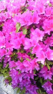 ���B