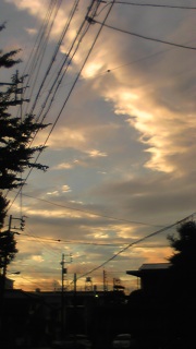 �A�蓹�̋�B