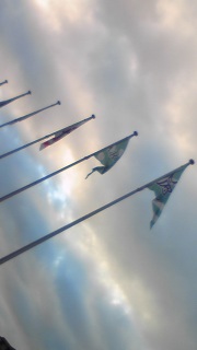 ������[�ށB