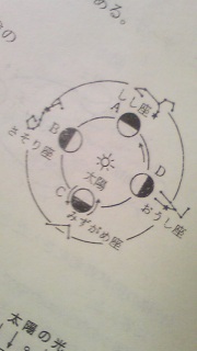 �e�X�g�B